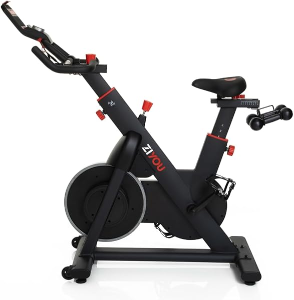 Bicicleta Spinning Ergométrica ZiYou ZU250-S