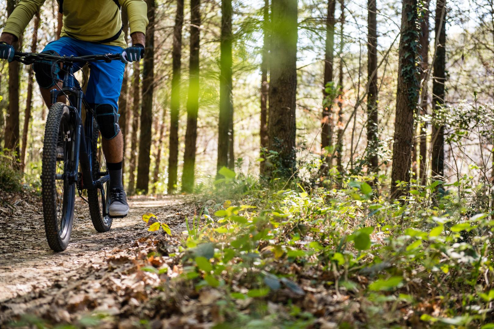 Top 10 Melhores Bicicletas para Trilha em 2024